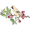 Oiseau