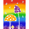 Champignons sous la pluie