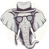 cool elephant