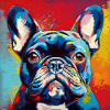 French Bulldog Pop Art