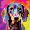 Dachshund Pop Art
