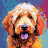 Golden Doodle Pop Art