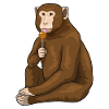 Monkey Lollipop