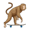 Monkey Skater Skateboard