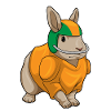 Rabbit American Football Sports