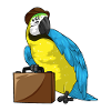 Parrot Entrepreneur Briefcase