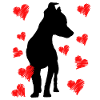 Hundefreund