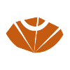 Carapace de crabe