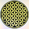 Lebensblume
