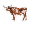 Dessin d’un Texas Longhorn