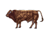 Drawing of a Limousin beef