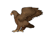 Drawing of a golden eagle