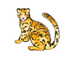 Drawing of a clouded leopard