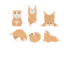 Yoga Hamster