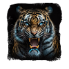 Fauchender Tiger Großkatze