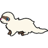 Shia le furet
