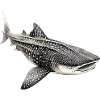Requin-baleine
