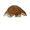 Drawing of a pangolin