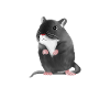 Drawing of a gerbil