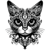 Chat chaton chaton dame