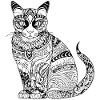 Chat chaton chaton dame