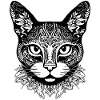 Chat chaton chaton dame