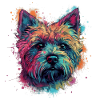 Bunte Cairn-Terrier