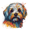 Bunter Havaneser Hund