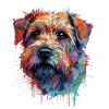 Bunte Norfolk-Terrier