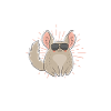 Chinchilla