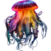 Neon jellyfish