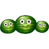 Family,Melon,Watermelon,Melons