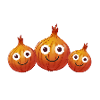 Onion,Family,Onion Family,Onions