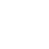 FUTURE CEO