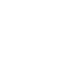 Lion Crown Head King