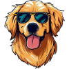 GOLDEN RETRIEVER WEARING SUNGLASSES