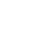 Bulldog Crown Dog King