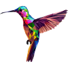 Hummingbird