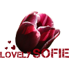 Sofie