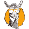 Llama with sunglasses Llama trekking