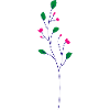 Flower Flower Plant