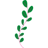 Flower Flower Plant