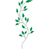 Flower Flower Plant