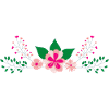 Flower Flower Plant