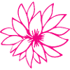 Flower Flower Plant
