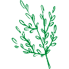 Flower Flower Plant