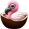Coconut Flamingo