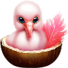 Coconut Flamingo