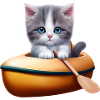 Chat mignon en kayak