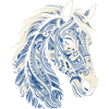 Islandsk hest Islandsk pony
